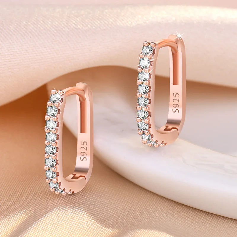 925 Sterling Silver Crystal Jewelry Fashion Zircon Circle Hoop Earrings For Women New Assesthetic Design XY0179