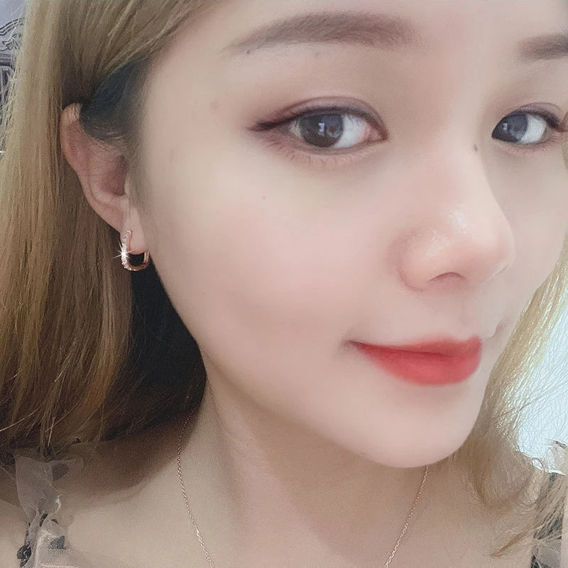 925 Sterling Silver Crystal Jewelry Fashion Zircon Circle Hoop Earrings For Women New Assesthetic Design XY0179