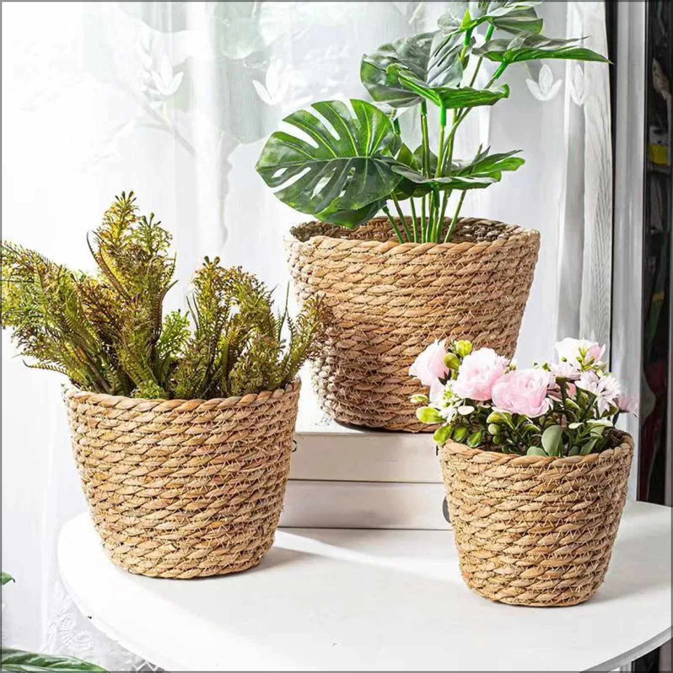 New Round Rattan Boxes with Lid Hand-Woven Multi-Purpose Tray