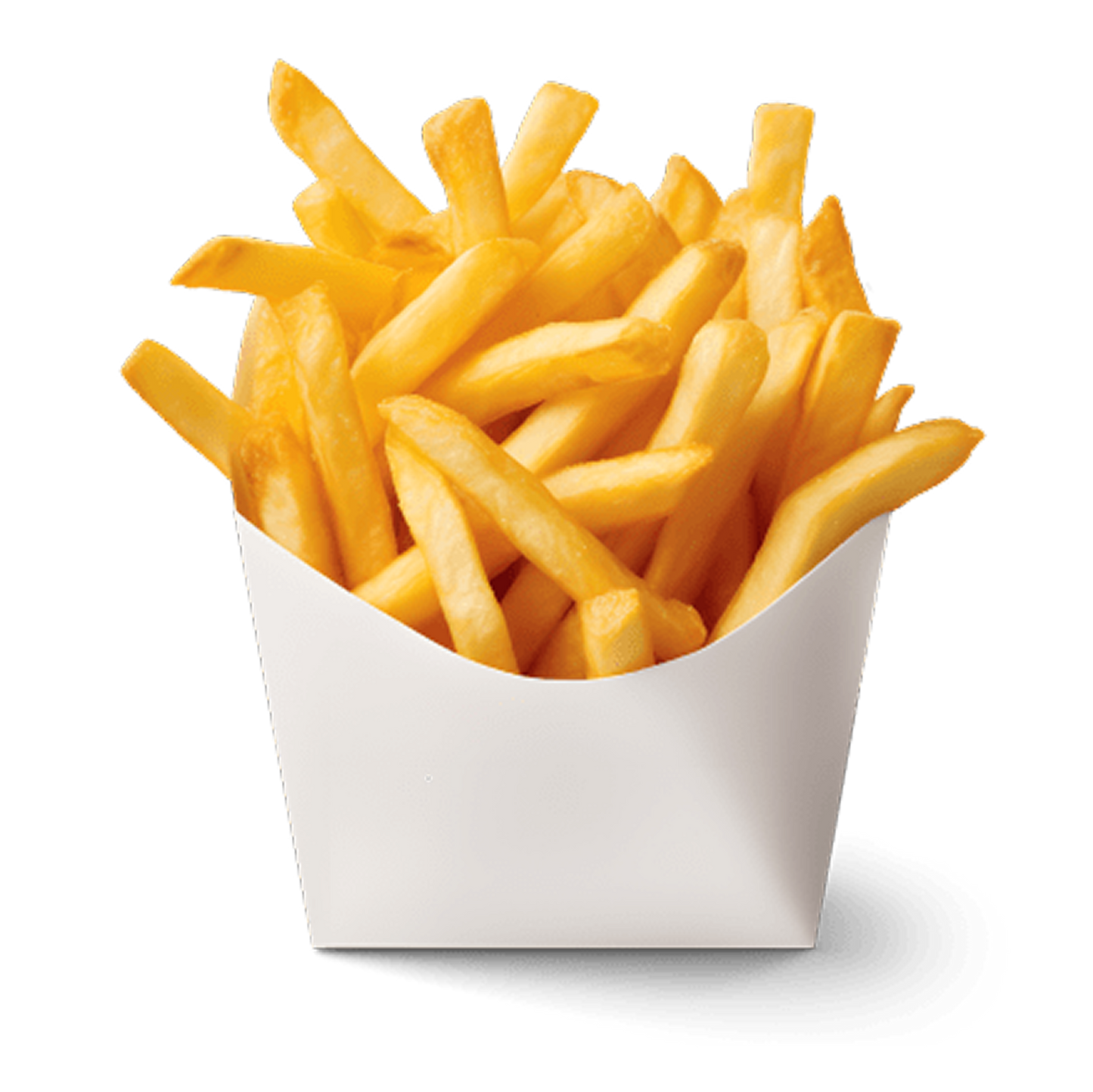 Cheesy Melt Fries