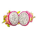 Exotic Dragon Fruit