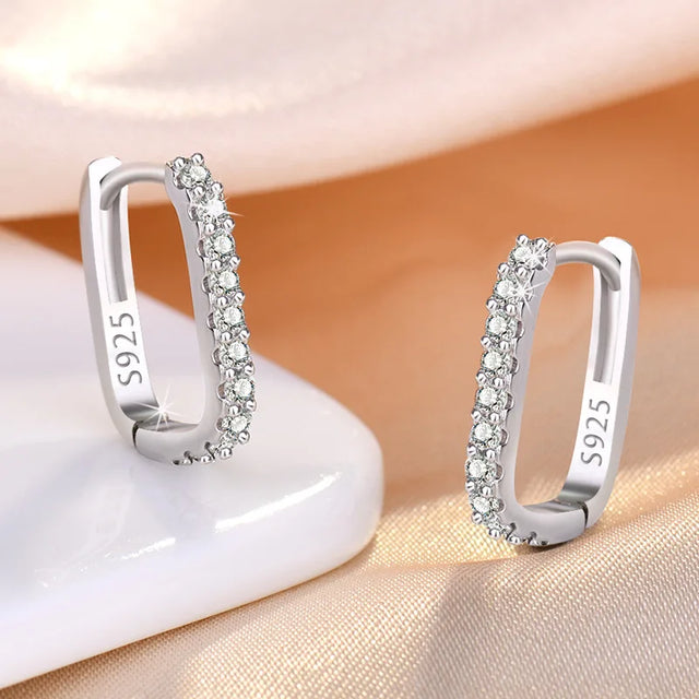 925 Sterling Silver Crystal Jewelry Fashion Zircon Circle Hoop Earrings For Women New Assesthetic Design XY0179