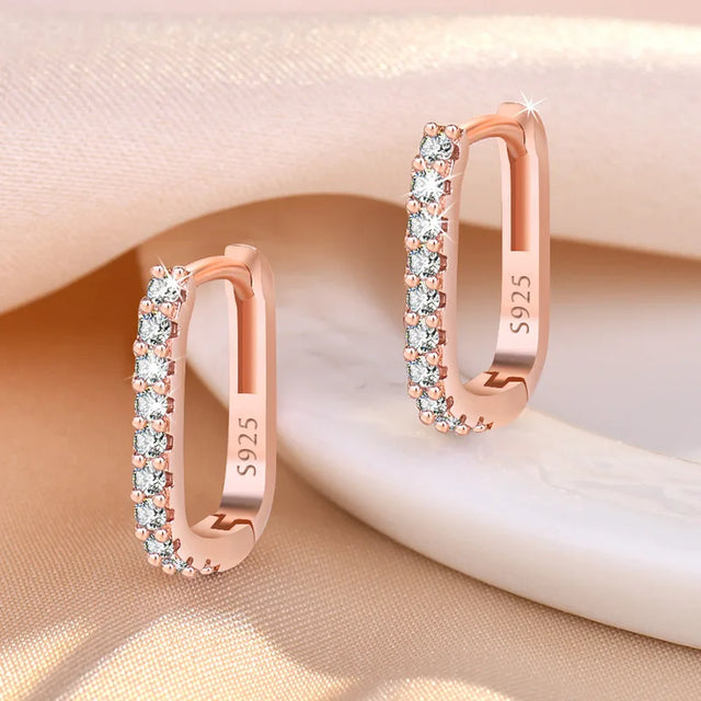 925 Sterling Silver Crystal Jewelry Fashion Zircon Circle Hoop Earrings For Women New Assesthetic Design XY0179