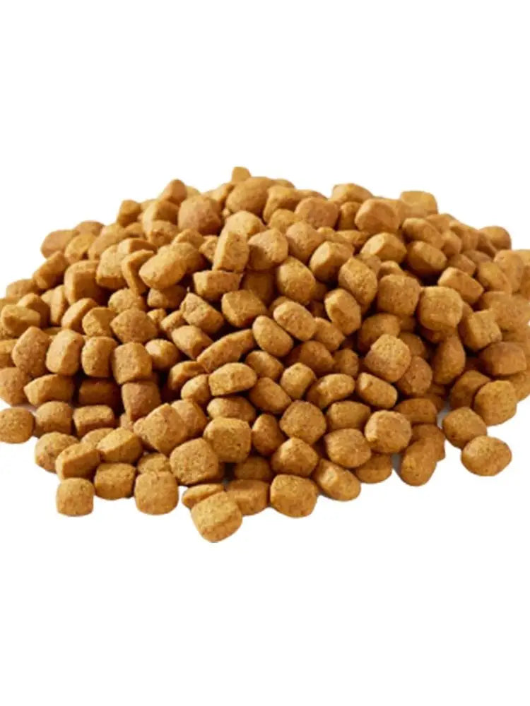 OEM ODM China low price pet food 25% protein probiotic puppy adult dog food