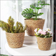 New Rattan Storage Box with Cover Handwoven Tray Basket