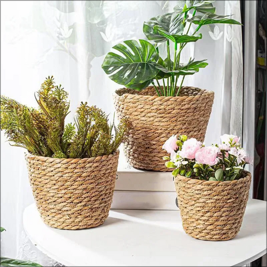 New Round Rattan Boxes with Lid Hand-Woven Multi-Purpose Wicker Tray Desktop Decoration Jewelry Storage Box Make Up Organizer